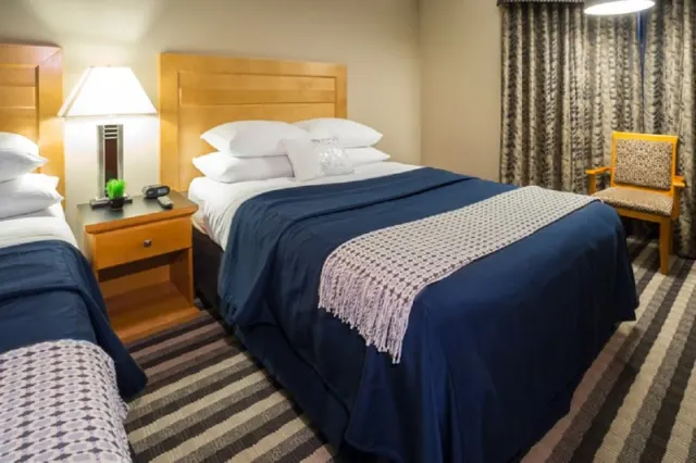 Hotel Regina - photo 2