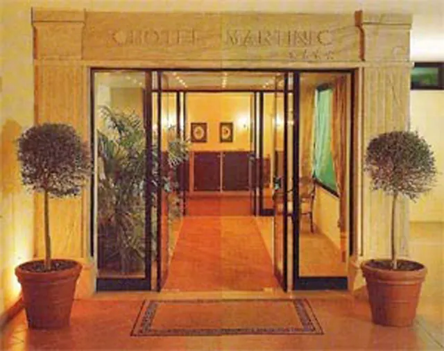 Martini - photo 2