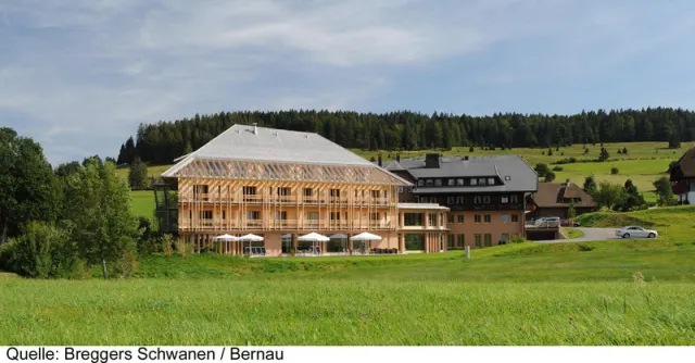 Breggers Schwanen, The Black Forest