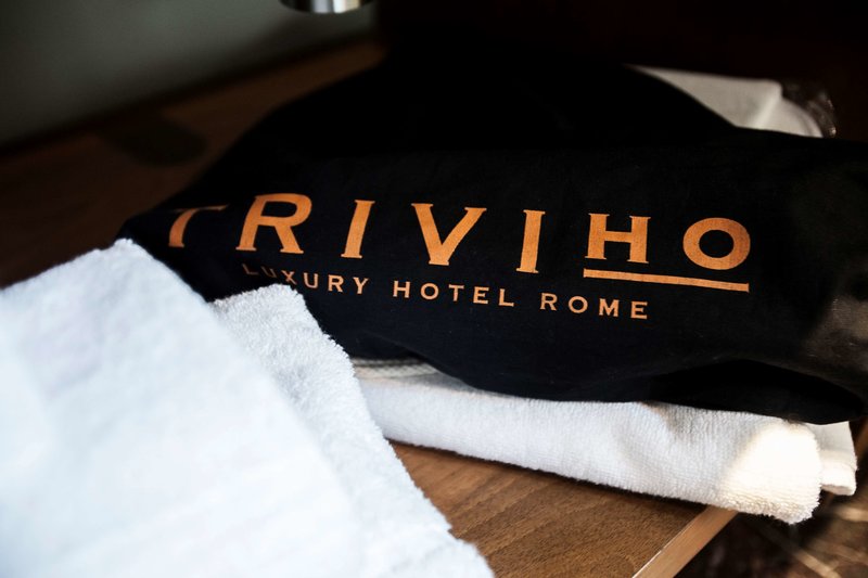 Triviho Hotel - photo 1
