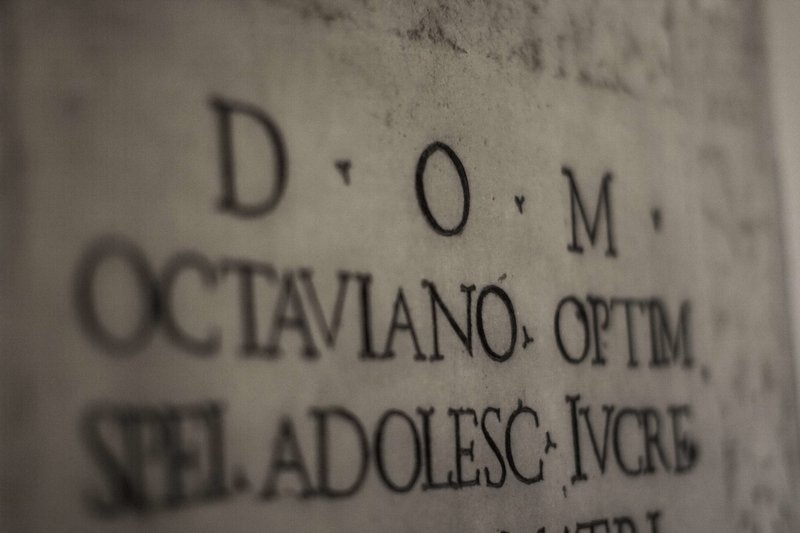 D.O.M. - photo 1