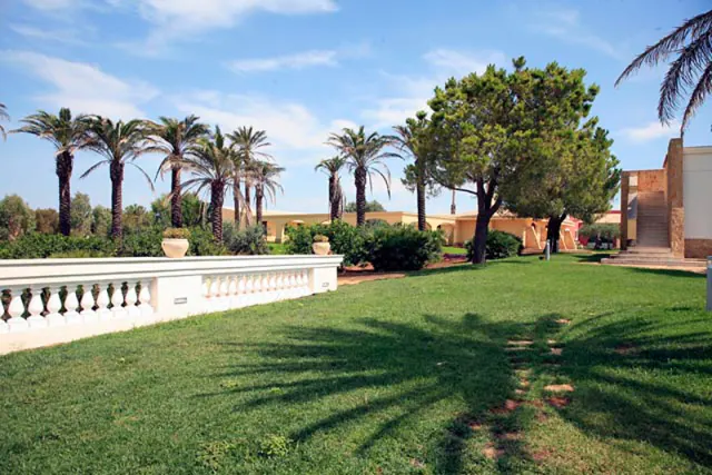 Disio Resort - photo 3