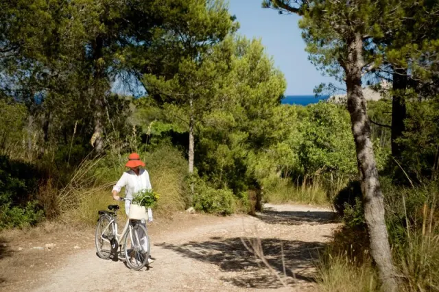 Predi Son Jaumell Hotel Rural, Majorca
