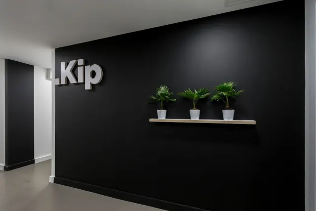 Kip - photo 2