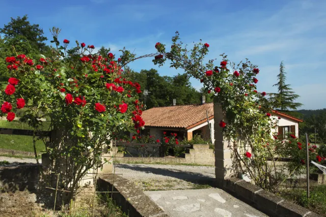 Resort Umbria SPA, Umbria