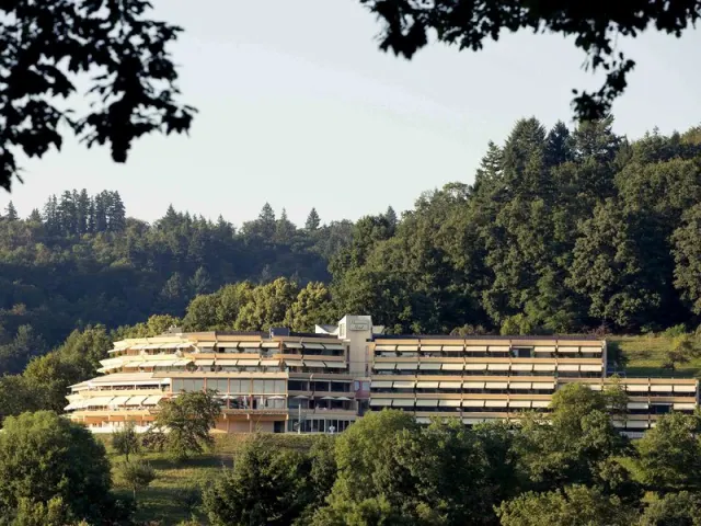 Mercure Hotel Panorama Freiburg, The Black Forest