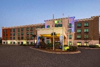 Holiday Inn Express & Suites Mobile West - I-10, Mobile