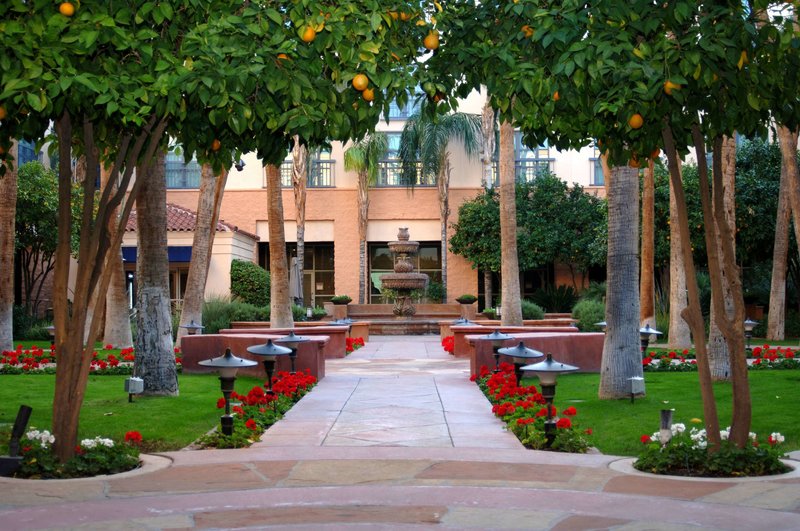 Tempe Mission Palms, A Destination Hotel by Hyatt - photo 1