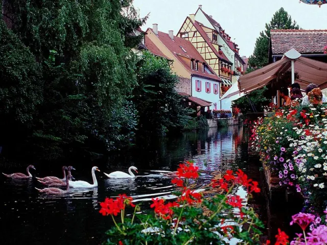 Hôtel ibis Colmar Centre, Alsace/Lorraine