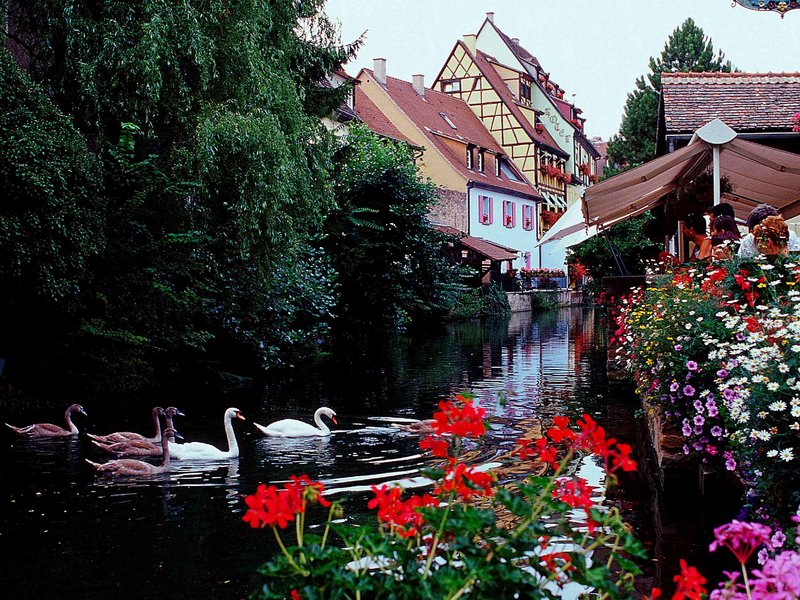 Hôtel ibis Colmar Centre - foto 1