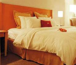 Delta Hotels Ottawa City Centre - photo 4