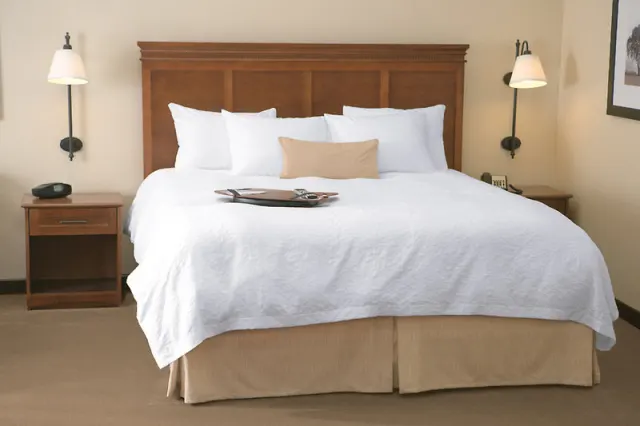 Hampton Inn & Suites Orlando-South Lake Buena Vista - फ़ोटो 2