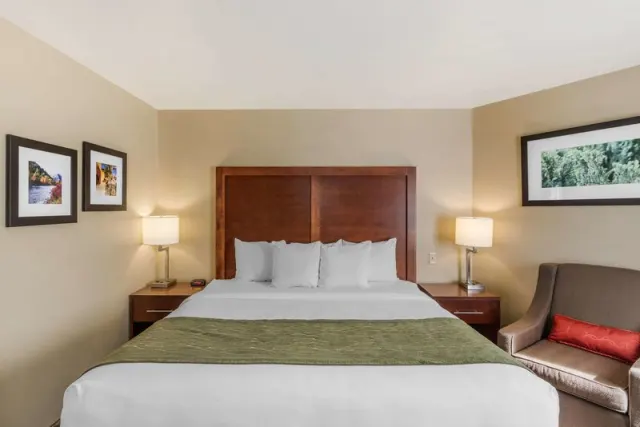 Comfort Inn University - photo 3