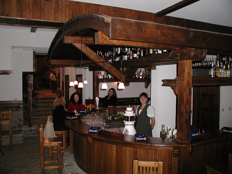 Tanne - photo 1