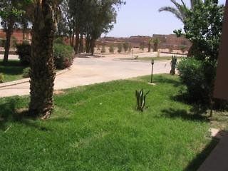 Le Zat - photo 1