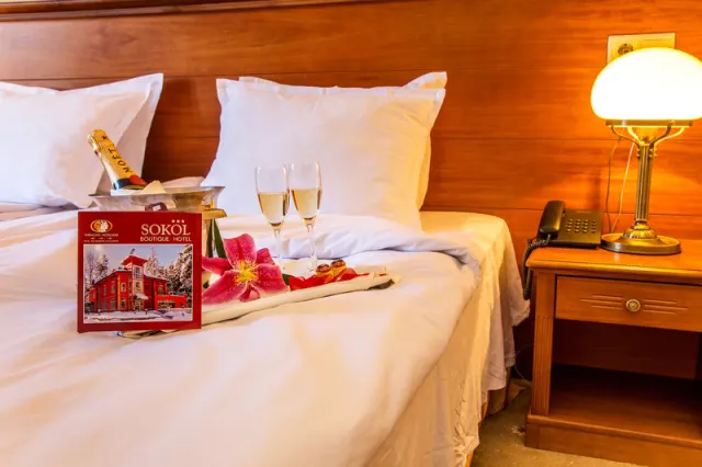 Sokol Boutique Hotel - photo 4