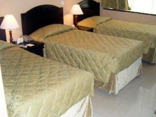 Royal Falcon Hotel - photo 3