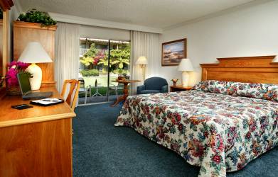 Pepper Tree Inn - kuva 3