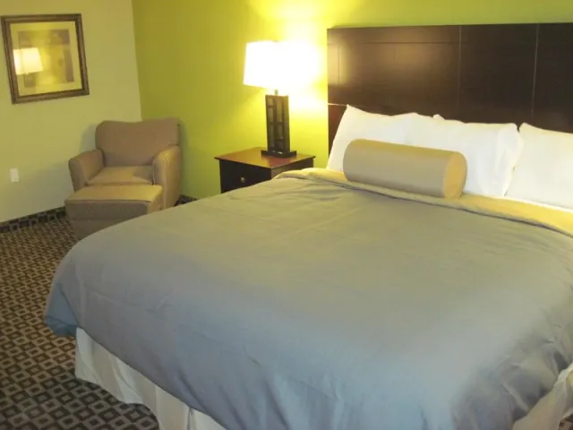 Best Western Plus Chalmette Hotel - photo 4