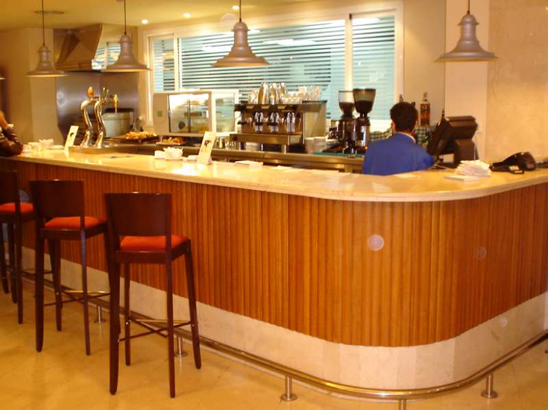 Hotel Princesa Plaza Madrid - photo 1