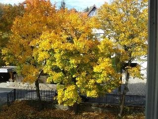 Pension Haus Marga - foto 3