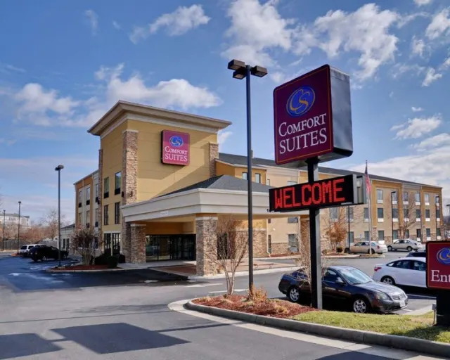 Comfort Suites Salem-Roanoke I-81 - photo 2