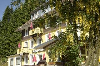 Gasthaus Hotel Löffelschmiede - photo 4