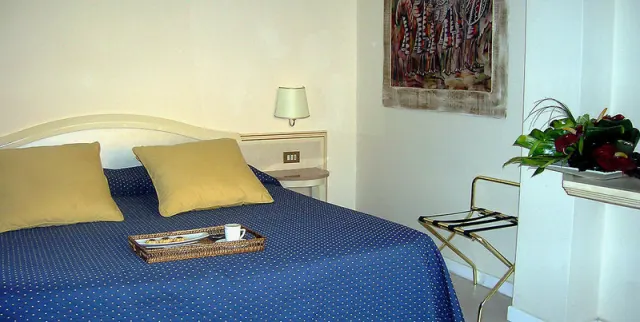 Hotel Metropolitan - photo 4