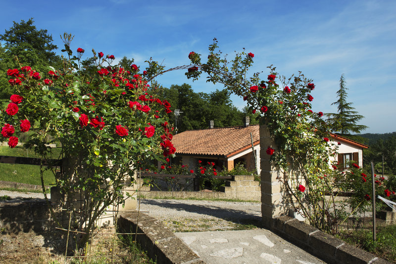 Resort Umbria SPA - photo 1
