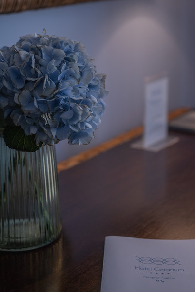 Cetarium - photo 4