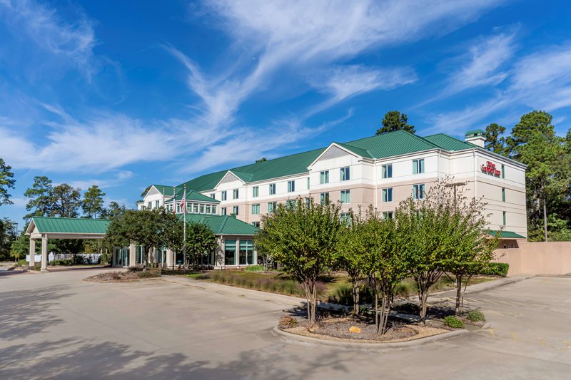 Hilton Garden Inn HoustonThe Woodlands - photo 1