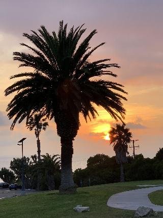 Lax Guest House, Inglewood