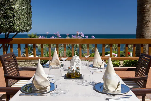 Elba Estepona Gran Hotel & Thalasso Spa - photo 3