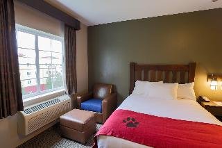 Great Wolf Lodge Chicago/Gurnee - foto 3