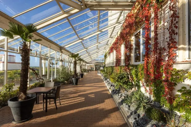 IFA Fehmarn Hotel & Ferien-Centrum - foto 4