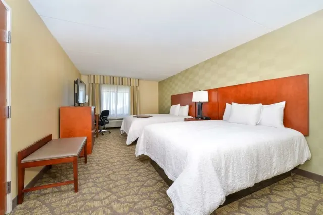 Hampton Inn Detroit/Auburn Hills South - foto 3