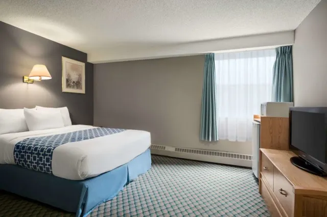 Travelodge by Wyndham Edmonton Airport - photo 3