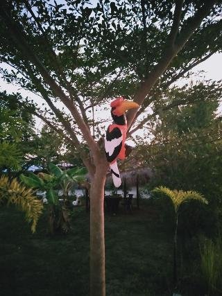 Sohground Boutique Resort - photo 2