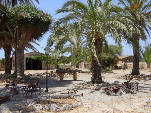 Finca Son Bielo - photo 3