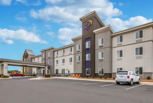 Sleep Inn At Discovery Park Of America - larawan 2