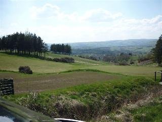 Greylands Guesthouse - photo 2