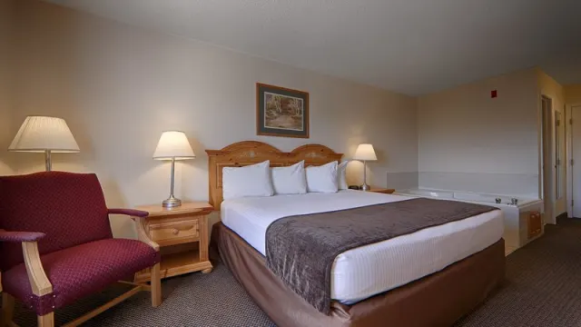 Best Western Mountain View Inn - photo 4