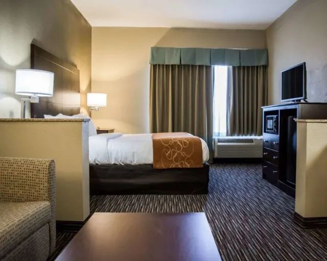 Comfort Suites Clearwater Bay - photo 3