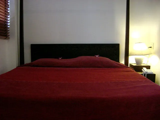 Best Bangkok House - photo 4