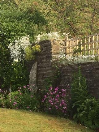 Highbury B&B - photo 2