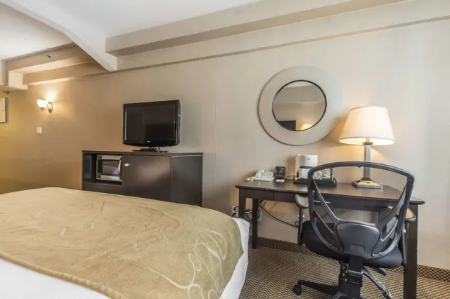 Comfort Suites Downtown - photo 4