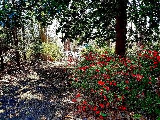 Stockbridge Lakes Bed & Breakfast - foto 3