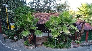 Seven Hills Village - photo 4