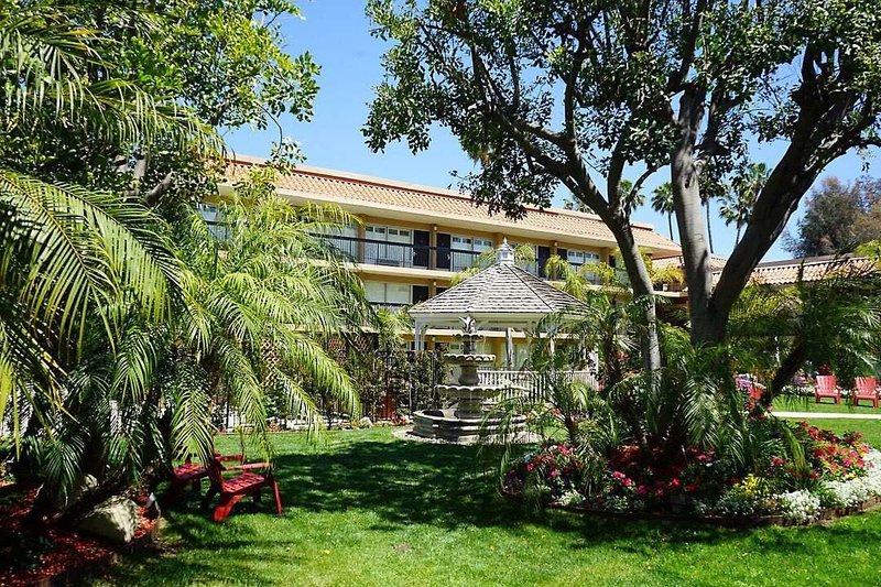 Palm Garden - صورة 1