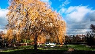 Queens Head Inn - photo 3